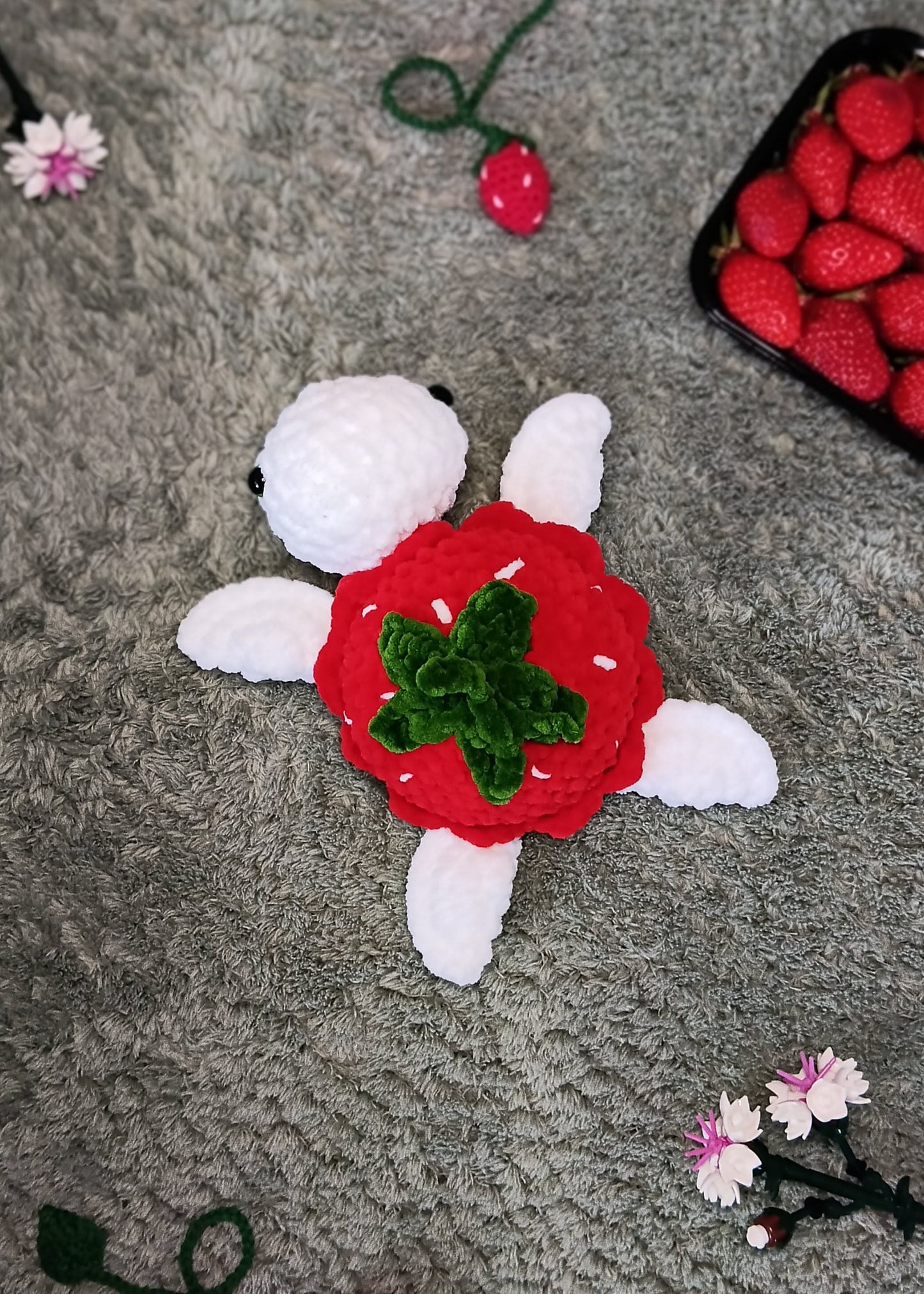 Tortue fraise